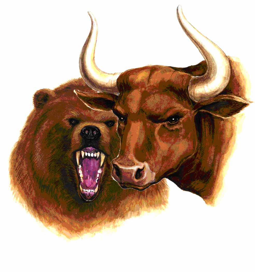 bull-bear