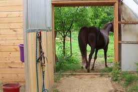 Horse-leaving-barn-door