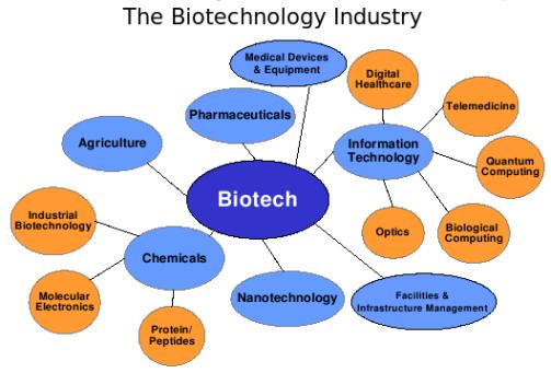 the-biotechnology-industry
