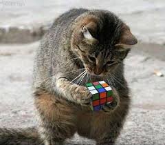 Rubik-Cube.jpg.pagespeed.ce.LCn0twBk52