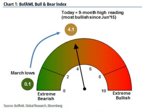 bofabull bear 0