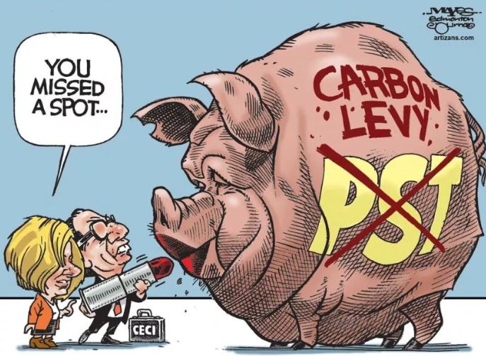carbon tax pig